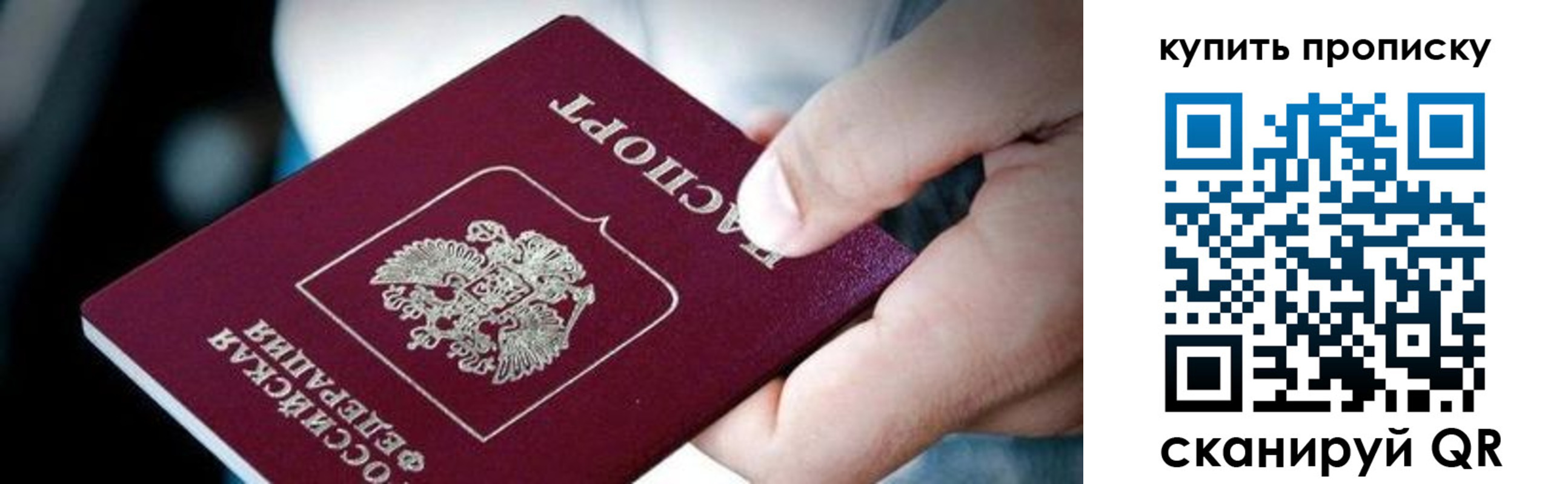 прописка поиск в Брянской области